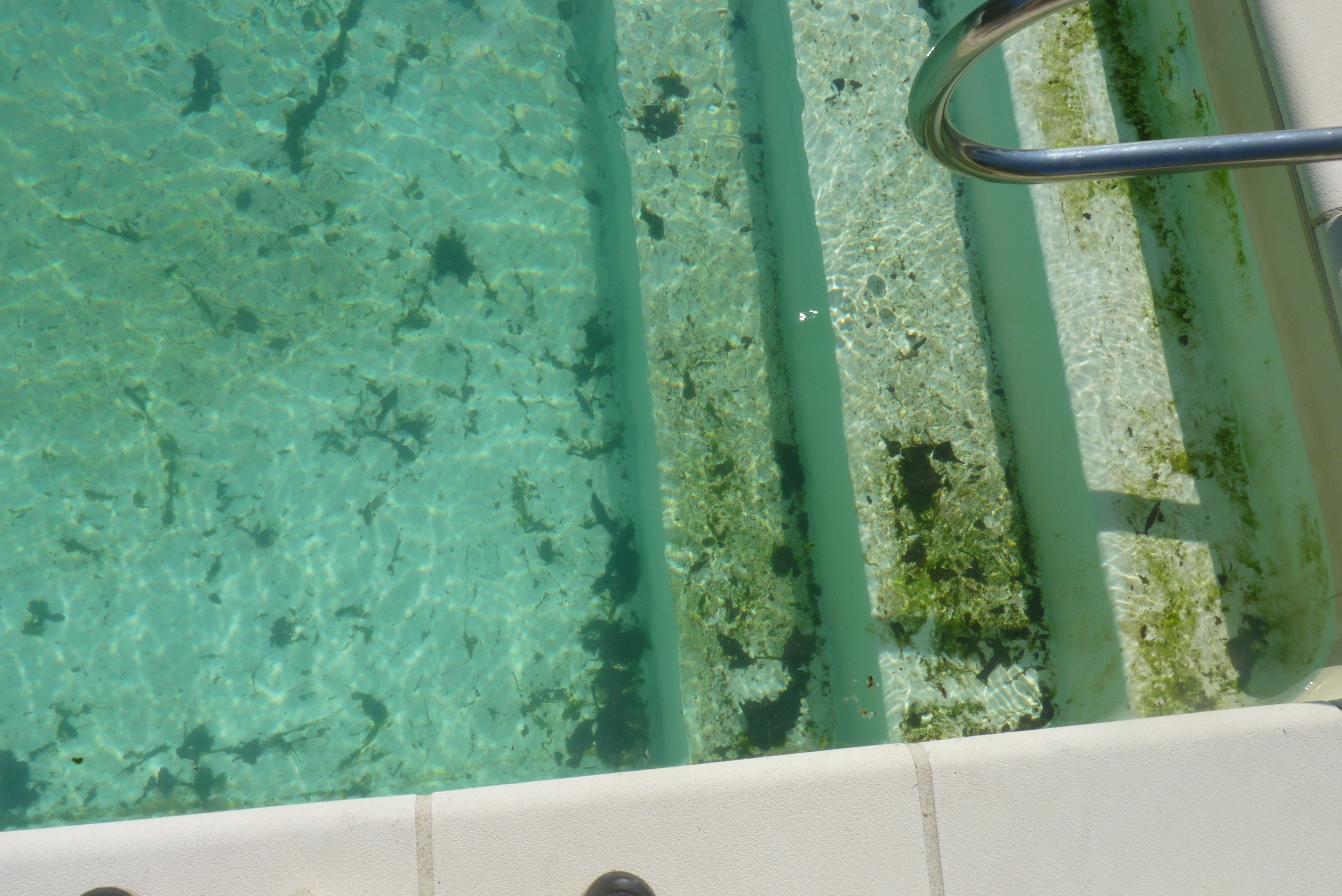 Piscine après hivernage et avant mise en route