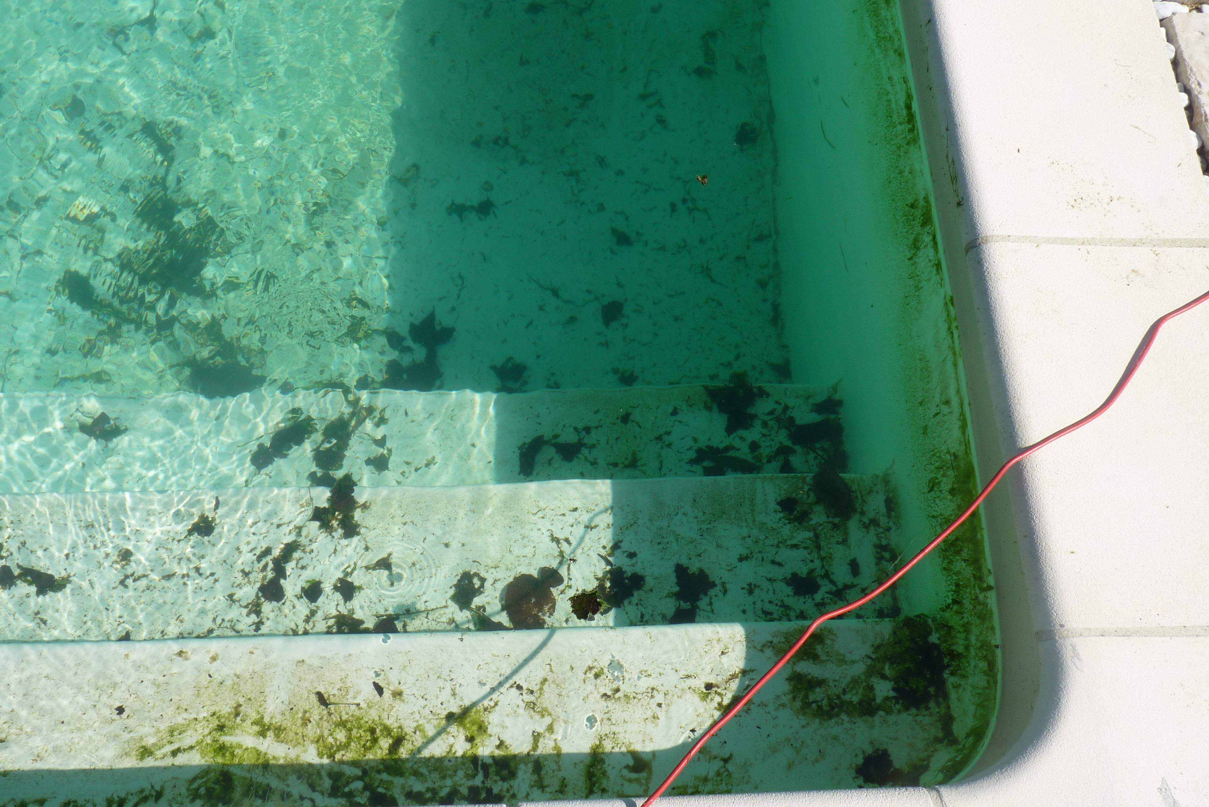 Entretenir sa piscine avec produit d'origine naturelle Biofloc-Plus réduit recours aux produits chimiques